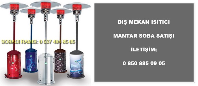 Palmiye soba kiralama ve satış